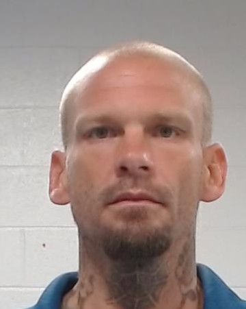Mugshot of Michael Glenn Lee