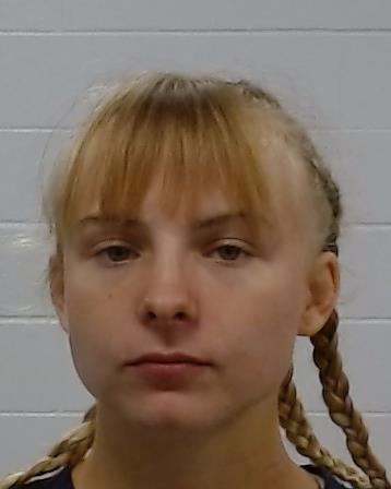 Mugshot of Joel Elizabeth Demarsh