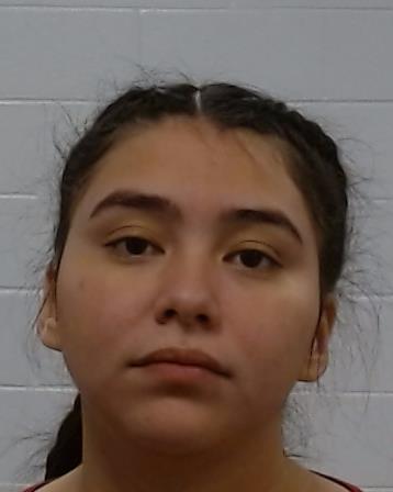 Mugshot of Dana Julissa Gutierrez-Betancourth