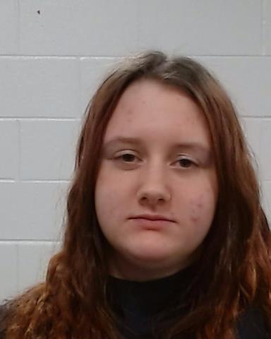 Mugshot of Brookyln Ann Barefoot