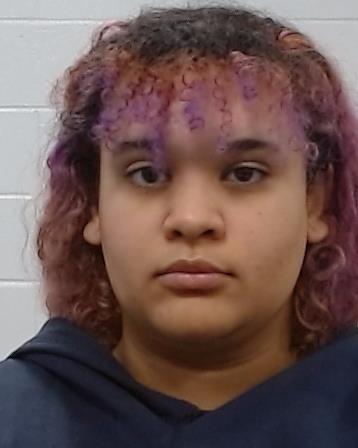 Mugshot of Nikaia Jasmin Amerie Hernandez