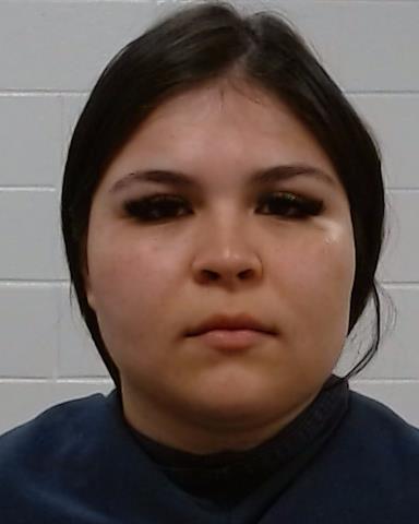 Mugshot of Jazmine Lizet Mejia