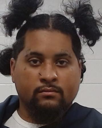 Mugshot of George Stacy Goins