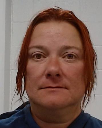 Mugshot of Colette Lynn Mills