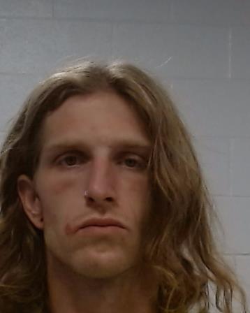 Mugshot of Dillon Cotus Kingston