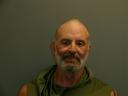 Mugshot of Shannon Vee Garner