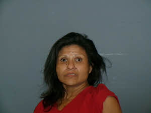 Mugshot of Erica Lee Montelongo