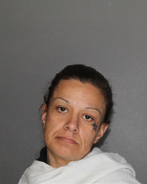 Mugshot of TINA-MARIE APODACA