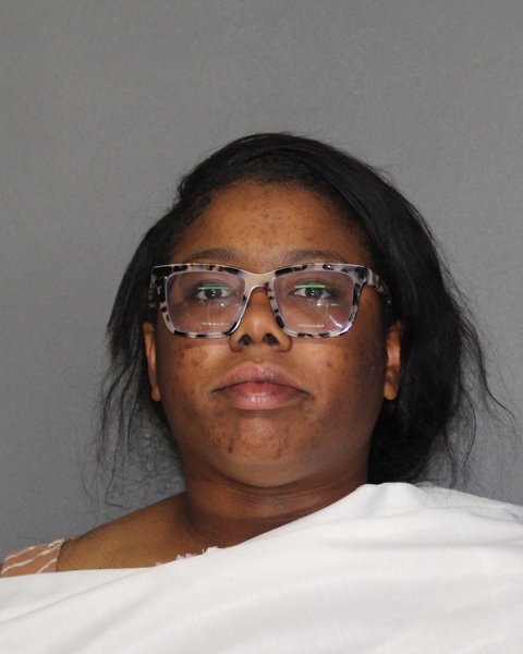 Mugshot of SHERLYN ANN ALLEN