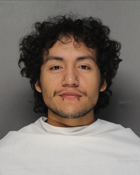 Mugshot of JUAN JOSE HERNANDEZ