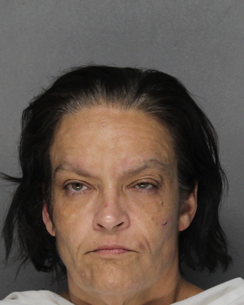 Mugshot of BRANDY RENEE STRAUSER