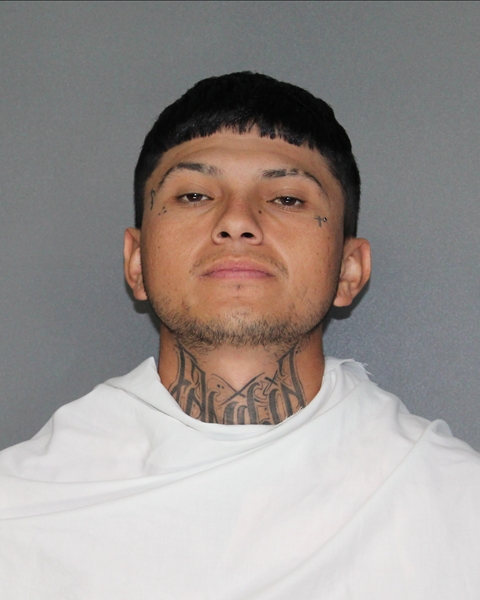 Mugshot of ALAN AGUSTIN PARGA