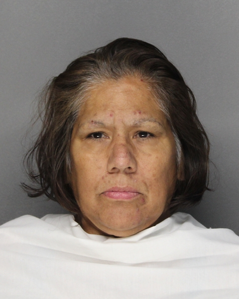 Mugshot of DELIA PERALES OLIVO