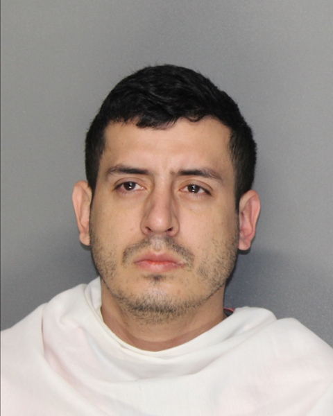 Mugshot of CAMILO ANDRES DIAZ-MARTINEZ