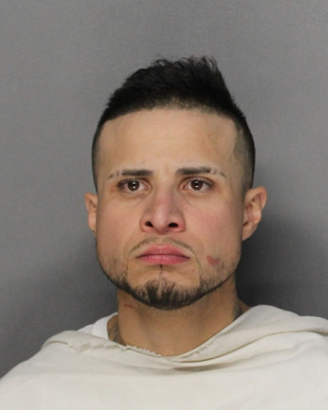 Mugshot of LUIS ANGEL HERNANDEZ