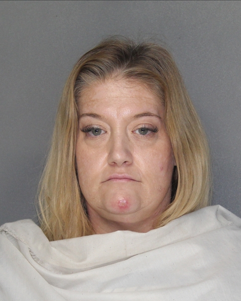 Mugshot of COURTNEY JOHNSON