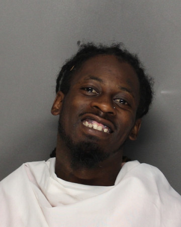 Mugshot of RYHEM DEMOND, SR ROBINSON