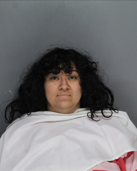 Mugshot of KATHYANA ALEXANDRA MORENO