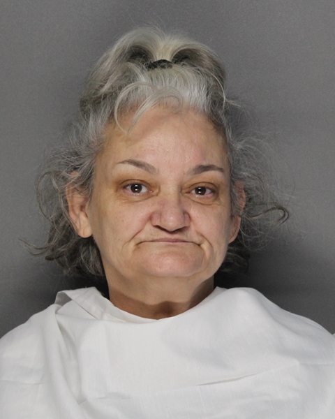 Mugshot of JONEE ANNETTE MEJORADO