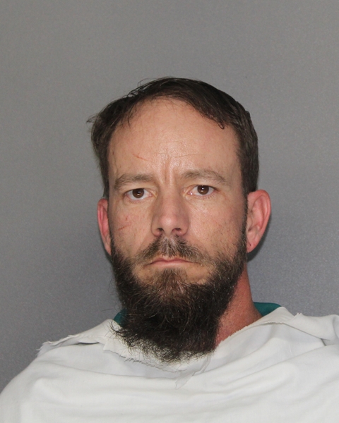 Mugshot of BRANDON JOHN LOVGREN