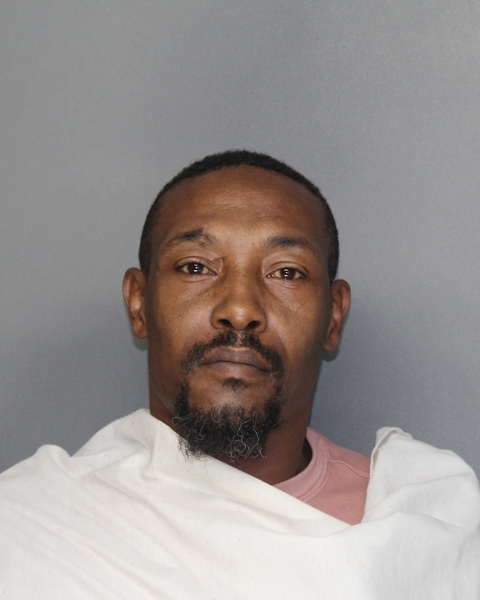 Mugshot of BRYAN EDWARD FREEMAN