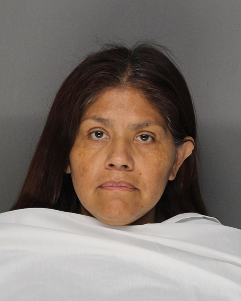 Mugshot of MONICA ALMAGUER CASTILLO