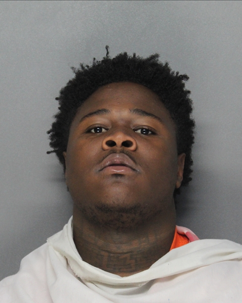 Mugshot of DEZERELLE DAMON, JR ACY