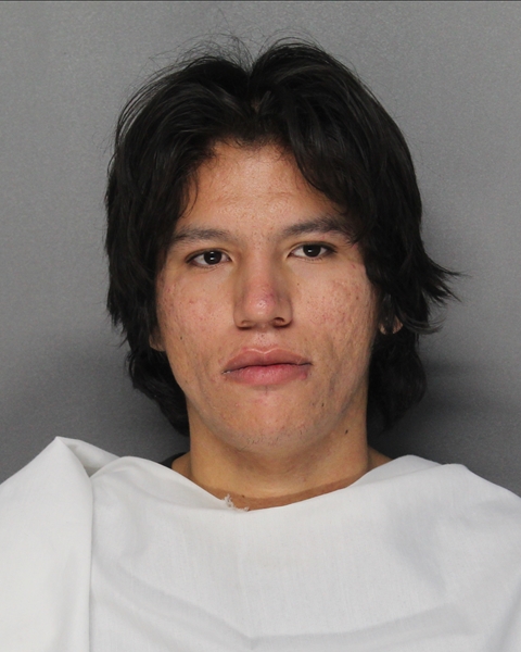 Mugshot of DALLAS MACKENZIE LONETHUNDER