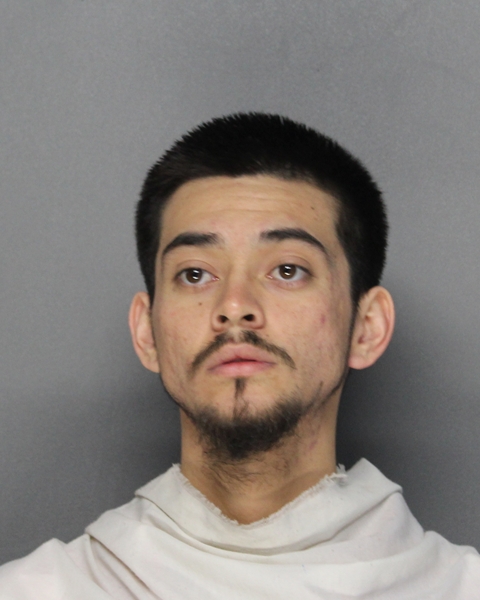 Mugshot of DAVID, JR HINOJOSA