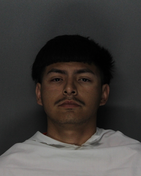 Mugshot of ROBERTO JUNIOR BRIONES