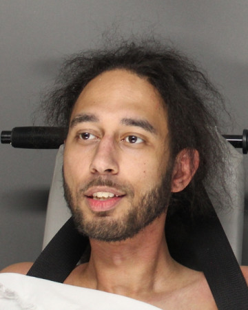 Mugshot of CHRISTOPHER DALON ANDERSON