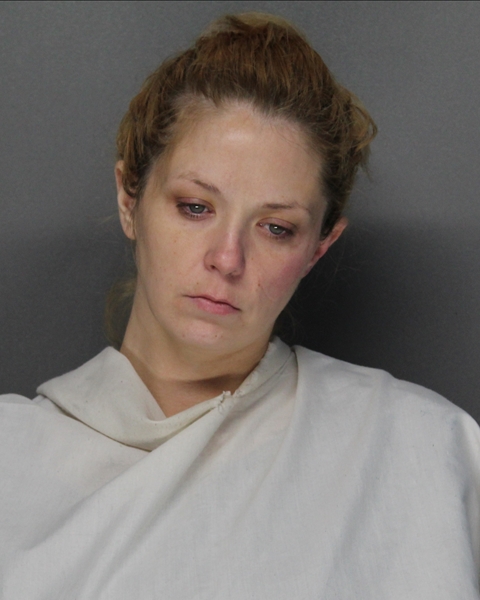 Mugshot of RACHEL LINDSAY STEWART
