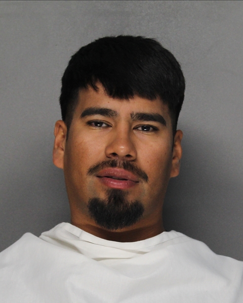 Mugshot of LUIS ANGEL ZAMBRANO