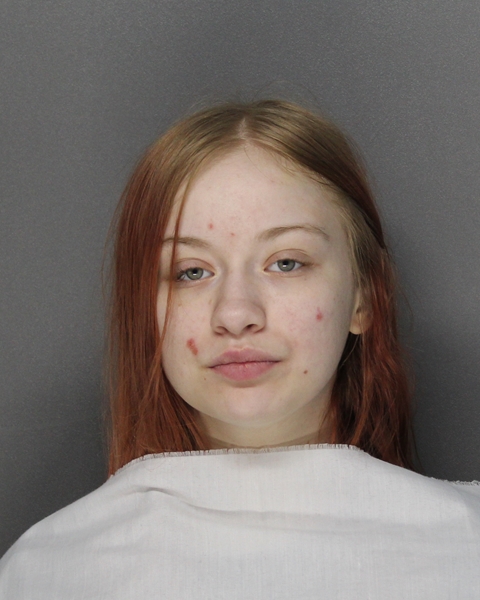 Mugshot of BROOKLYN PAIGE JOHNSON