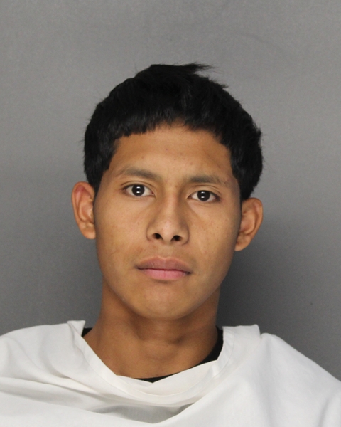 Mugshot of LUIS ABELARDO VIDAL TOT-XICOL