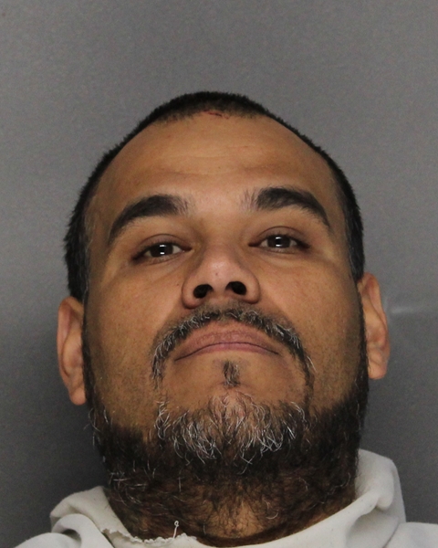 Mugshot of JOSE JABIER REYNA