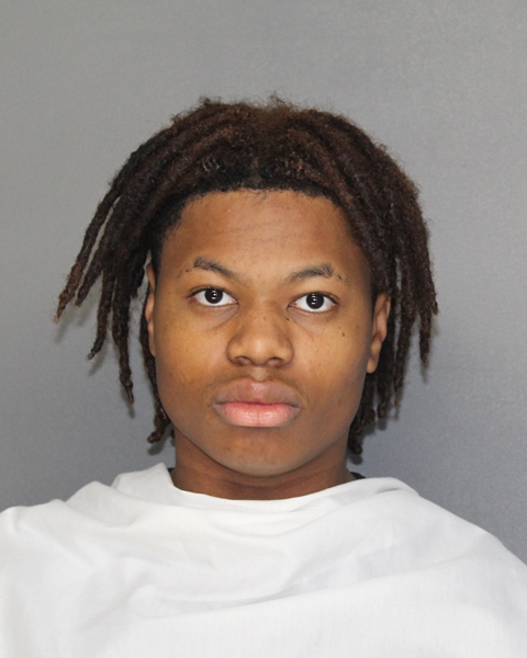 Mugshot of ROBERT MOSES PORTER
