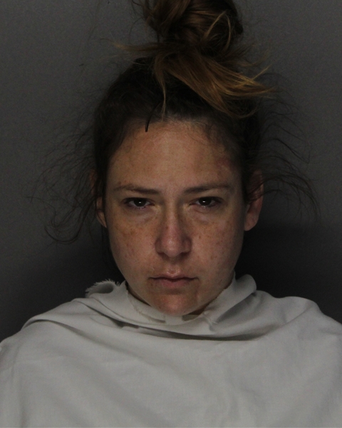 Mugshot of KRISTA LYNN CARTER