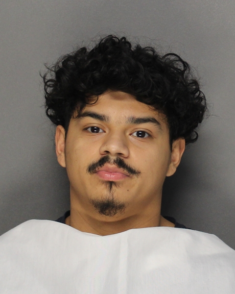 Mugshot of JUAN DAVID DIAZ