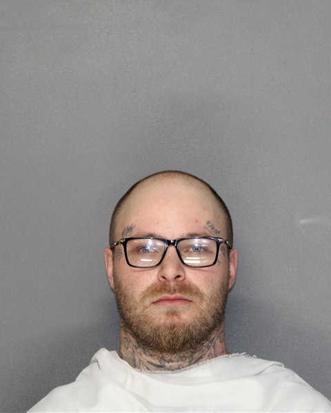 Mugshot of BRANDON LEE WESTLEY DEAL