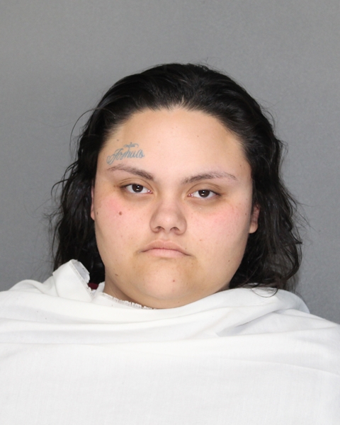 Mugshot of JACI SUE LOSSIE