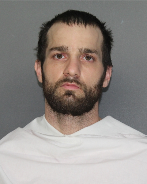 Mugshot of MARK CHRISTOPHER WHITE