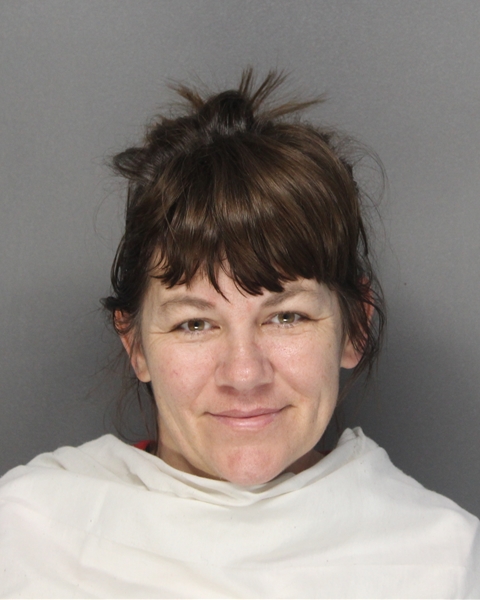 Mugshot of JENNIFER MICHELLE SILVEY