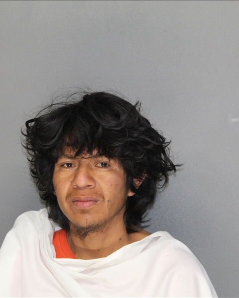 Mugshot of JOSE MOISES ALVARADO