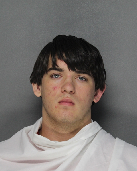 Mugshot of BRADEN WADE HEGINBOTHAM