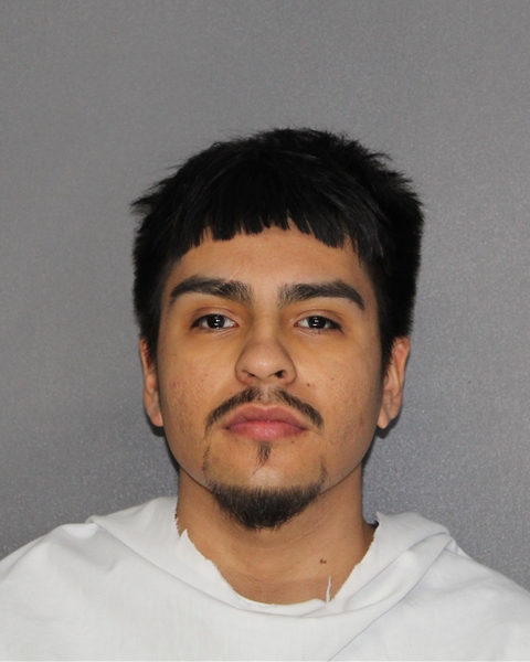 Mugshot of JESUS ANGEL, JR LANDA