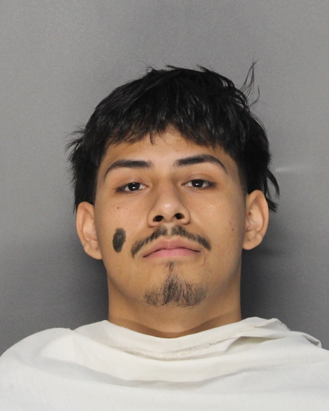 Mugshot of PANTALION LUCIO