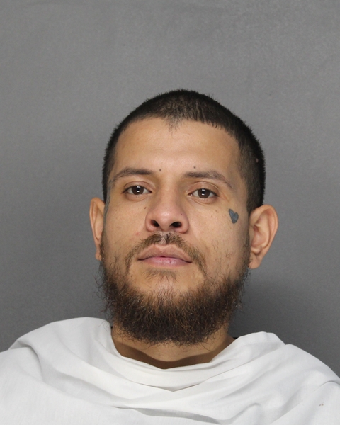 Mugshot of JOEL TONCHE REYES