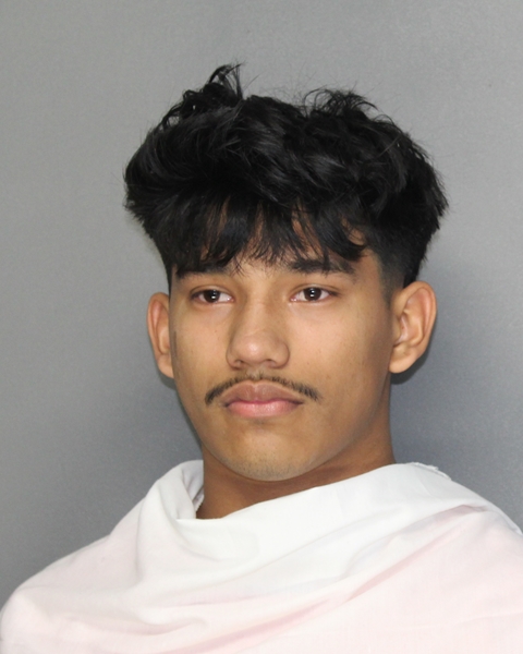 Mugshot of CRISTIAN DAVID CASERES-MOREL