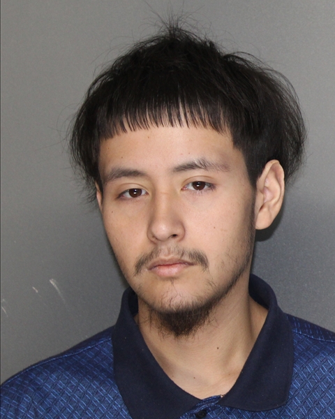 Mugshot of EDGAR GREGORIO ALONSO